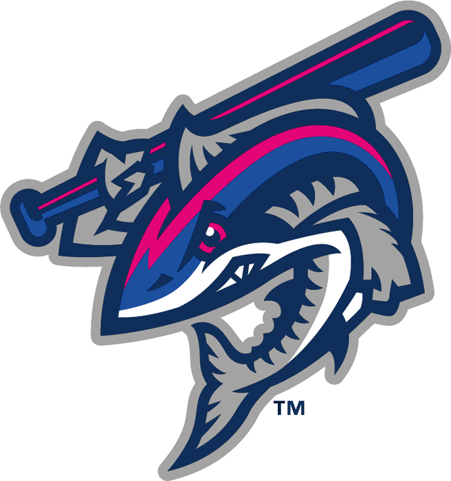 Pensacola Blue Wahoos 2012-Pres Secondary Logo vinyl decal